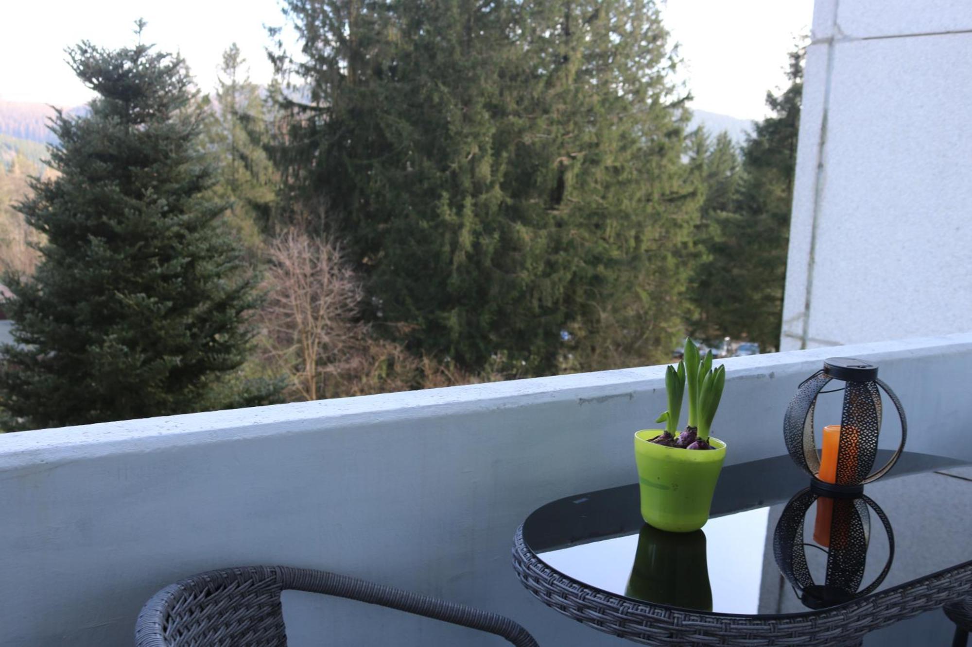 Natur Suite Goslar Zewnętrze zdjęcie