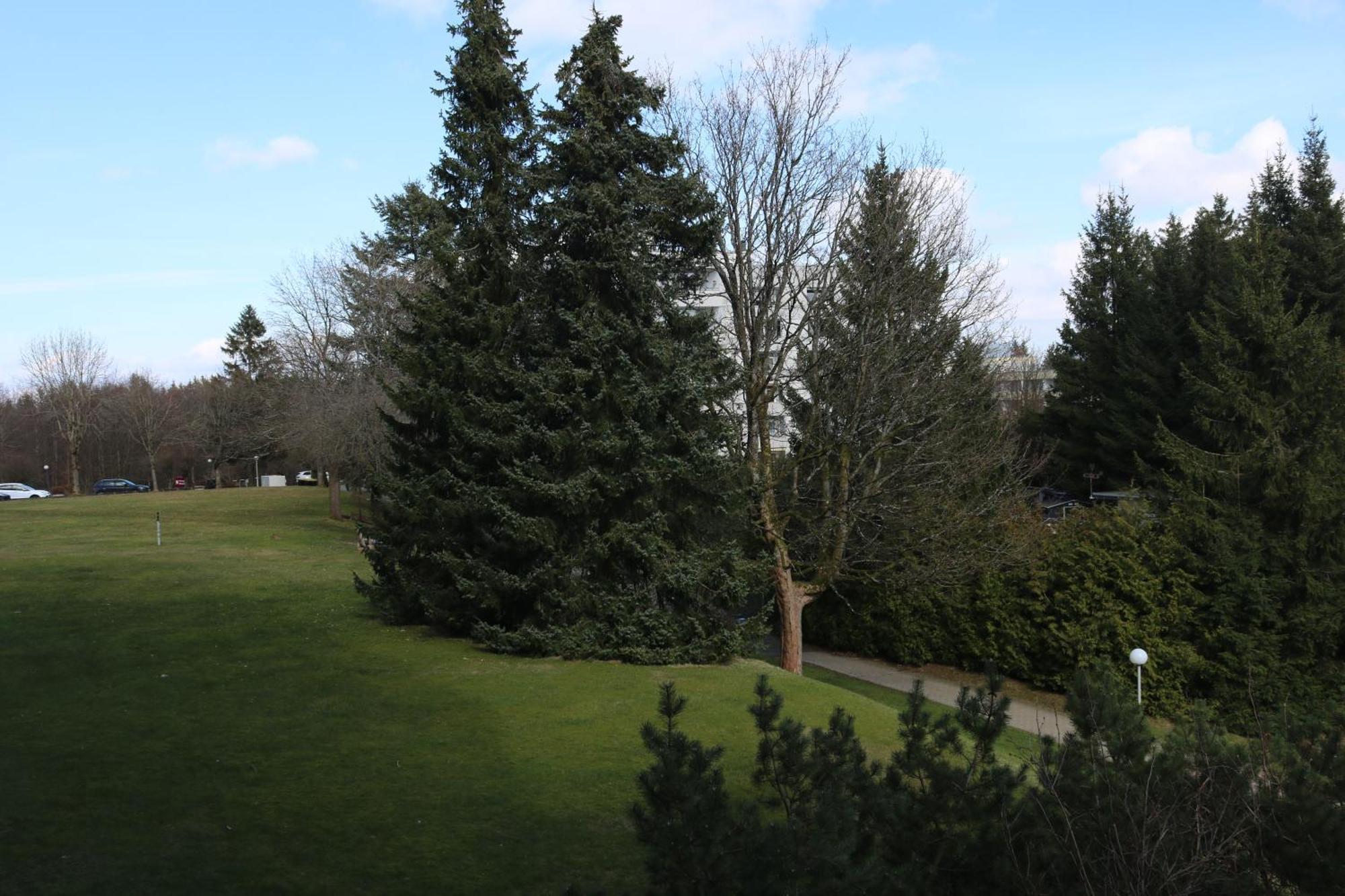 Natur Suite Goslar Zewnętrze zdjęcie